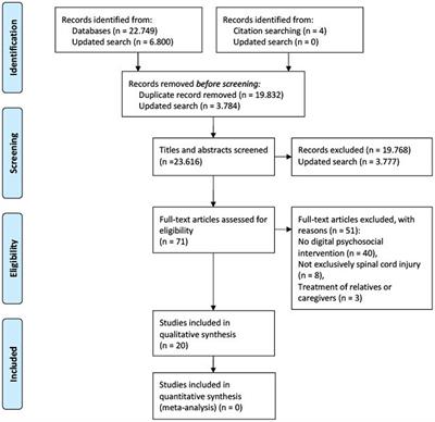 Digital psychosocial interventions for individuals with spinal cord injury: a scoping review